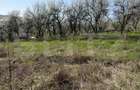 Teren intravilan in localitatea Criseni in suprafata de 2700 mp - 4