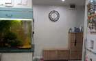 Apartament 3 camere decomandat - 10
