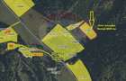 Teren Construcții intravilan de 4003 mp, în Babarunca - 5