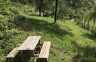 Teren Judetul Arges, comuna Babana - 4