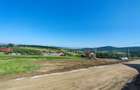 Teren intravilan Tomesti-Chicerea 1000mp - 3