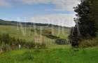 Teren intravilan agricol de vanzare in Betfia Bihor , Oradea - 5