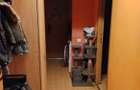 Apartament 2 camere decomandate, 52mp, balcon, zona Petrom - 3