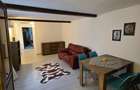 Apartament 2 camere la curte - 10