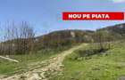 Teren 13.000 mp zona de deal - Aninoasa AG - 2