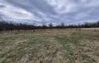 Teren Construcții de 18000 mp, în Urleta - 21