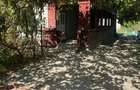 Vand urgent 21.000 euro - 9