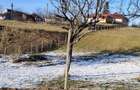 Proprietar vand teren intravilan in satul Remecioara la 19Km de BM, toate utilita?ile, drum asfaltat - 6