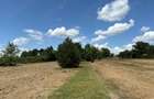 Casa P+M+Teren 1,6 ha Ideal Pensiune Camin varstnici Viile Satu Mare - 1