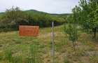 Teren de inchiriat la DN 17 - 1