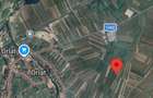 Vand teren extravilan in localitatea Orlat , Sibiu - 2