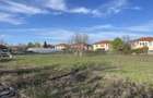 Teren Construcții intravilan de 2572 mp, în Domnești - 4