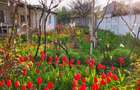 Casa cu teren 1400mp - 2