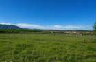 Teren de vanzare, 1300 mp, zona suburbana CISNADIE - 5