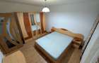 Apartament cu 3 camere decomandat în Dristor - 2