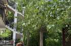 Apartament 3 cam. Neptun- Proprietar - 2