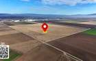 Teren Strategic 32.5 Ha | Direct la Nod Autostrada Brasov-Bacau | Ideal Logistic - 5
