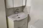 Inchiriez ap 1 canera zona Basescu - 2