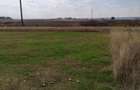 Teren intravilan zona Damila, 800 mp cu deschidere de 40m - 5