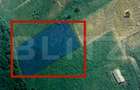 Teren intravilan, 4550mp, zona Parc Dendrologic - 1