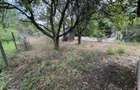 Teren intravilan / gradina cu cabanuta , zona Bercu Rosu - 7