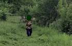 Vanzare teren Bascov Arges - 3