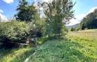 Teren Construcții intravilan de 4000 mp, în Brădet - 13