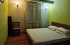 Apartament cu 2 camere decomandat în Dristor - 13