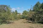 Casa cu teren 1.200 mp, panouri solare 3 kW Soveja, Vrancea