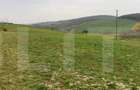 Casă cu 1 camere cu Teren 3000 Mp în Someșeni - 9 Casă cu 1 camere cu Teren 3000 Mp în Someșeni - 9