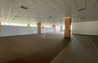 Spațiu comercial, de 1,553 mp, în P-ța Mihai Viteazul - 3