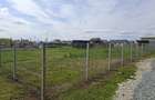 Teren intravilan Branesti - 6