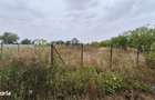 Vand teren 750 mp in localitatea Branesti Ilfov - 2