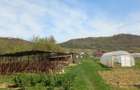 Casă cu 2 camere cu Teren 2100 Mp în Lozna - 17
