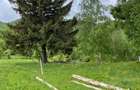 Teren Construcții de 16000 mp, în Bran - 1