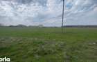 TEREN INTRAVILAN 1000 MP CARCEA - ZONA HANUL CU PONEI - 3