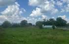Teren intravilan Halchiu, str. Feldioarei 1600 mp - 5