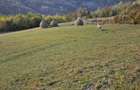 Inchiriez sau vand teren intravilan Muntele Rece - 10524 mp - 2