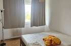 Inchiriere apartament 3 camere Drumul Taberei - 2