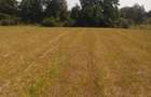 Teren intravilan de 5000 mp, în Big-Bascov - 4