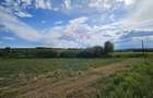 Teren de 12000 mp, în Pădureni (Șendriceni) - 4