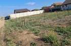 Teren Construcții de 462 mp, în Livada de Bihor - 2
