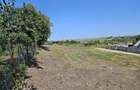 Teren intravilan, Cismea, Rachiti, Botosani - 3