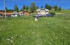 De vanzare Teren intravilan cu casa si anexe in Bucovina Moldova Sulita - 2