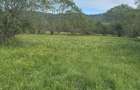 Teren deosebit 8100 m2 Sinca Noua - 4