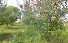 Proprietate specială, de 3,100 mp, în Măieruș - 20