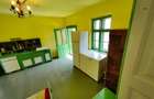 Casă cu 3 camere cu Teren 2448 Mp în Chesinț - 8