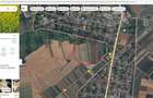Teren 3400 comuna Daia la 200 m de DN5 Giurgiu-Bucuresti - 1