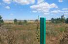 Teren intravilan de 230000 mp, în Jilava - 3