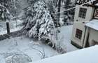Vand 1\2 vila in Sinaia,cartier Furnica - 1